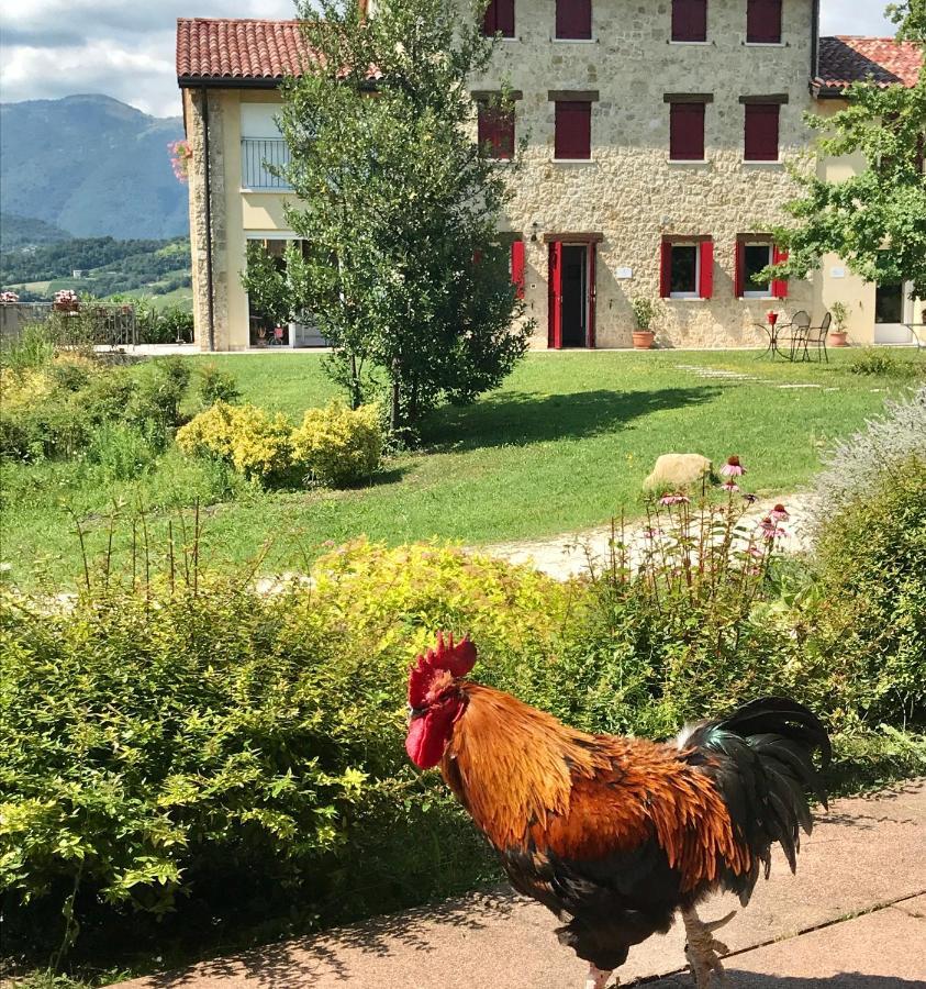 Agriturismo Lemire San Pietro Di Feletto Zewnętrze zdjęcie