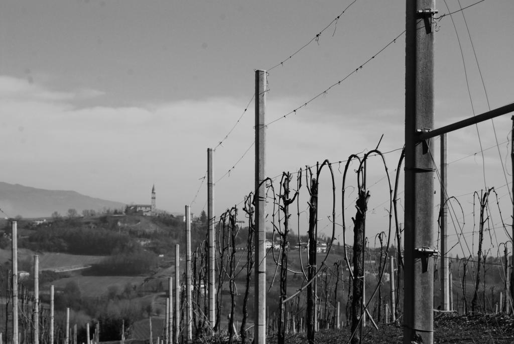 Agriturismo Lemire San Pietro Di Feletto Zewnętrze zdjęcie