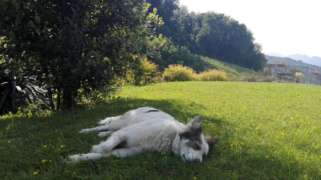 Agriturismo Lemire San Pietro Di Feletto Zewnętrze zdjęcie