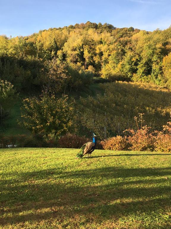 Agriturismo Lemire San Pietro Di Feletto Zewnętrze zdjęcie