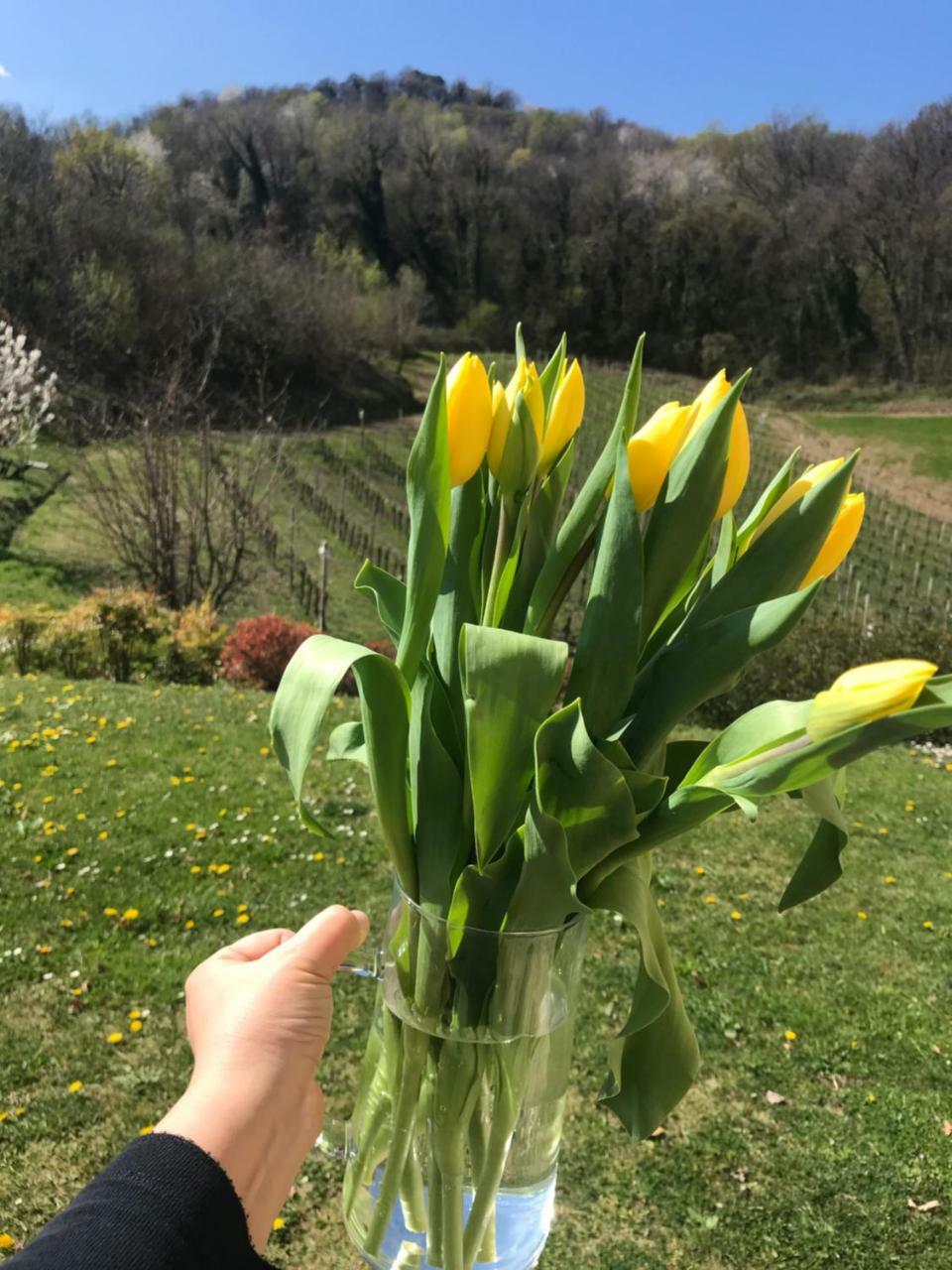 Agriturismo Lemire San Pietro Di Feletto Zewnętrze zdjęcie